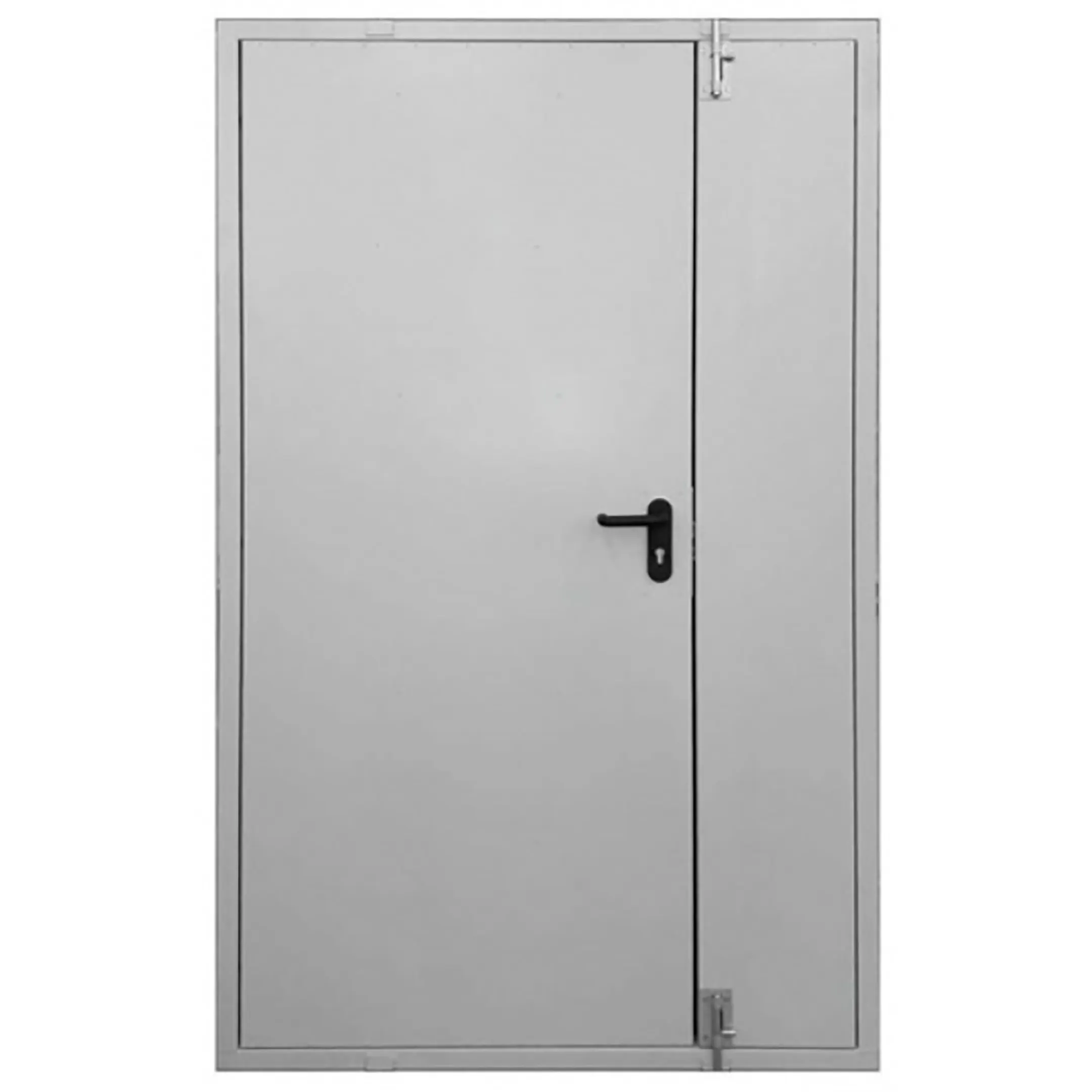 Дверь тамбурная металлическая ДТ-2-1200х2000